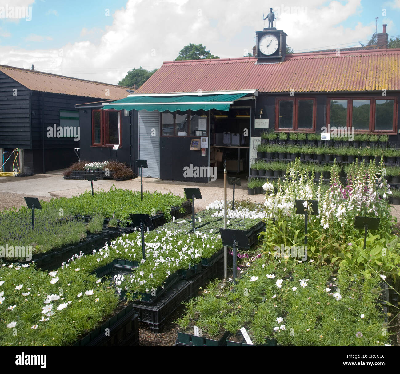 Woottens garden centre Wenhaston, Suffolk, England Stock Photo Alamy