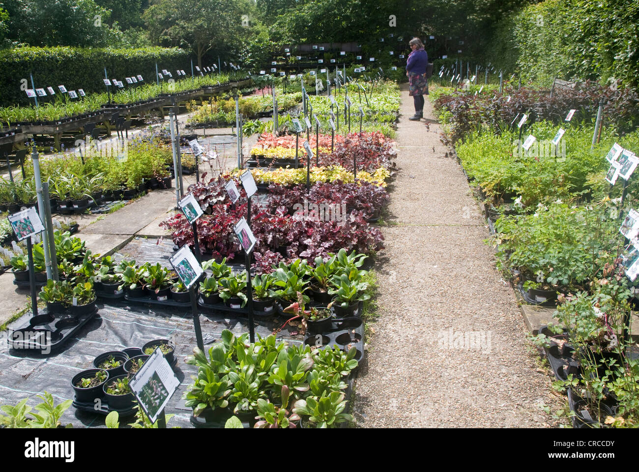 Garden centre hi-res stock photography and images - Alamy