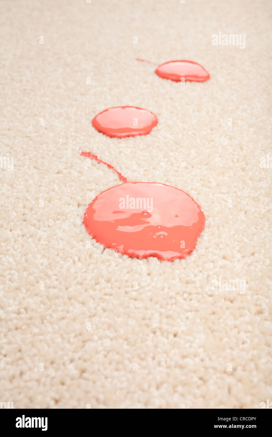Pink paint spilled on pink carpet. Stock Photo