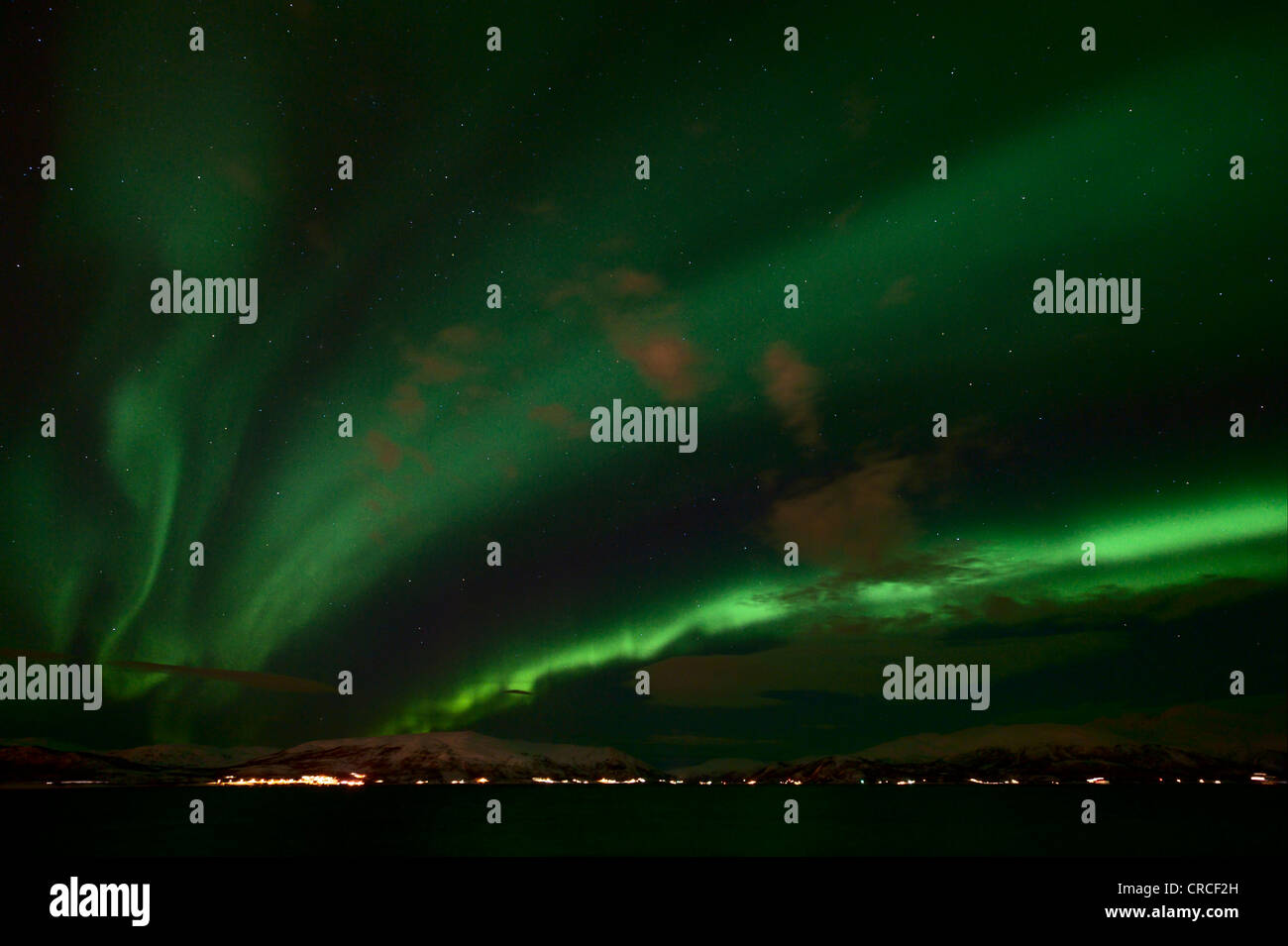Northern Lights (Aurora borealis), Tromso, view on Kvaloeya, Norway, Scandinavia, Europe Stock Photo