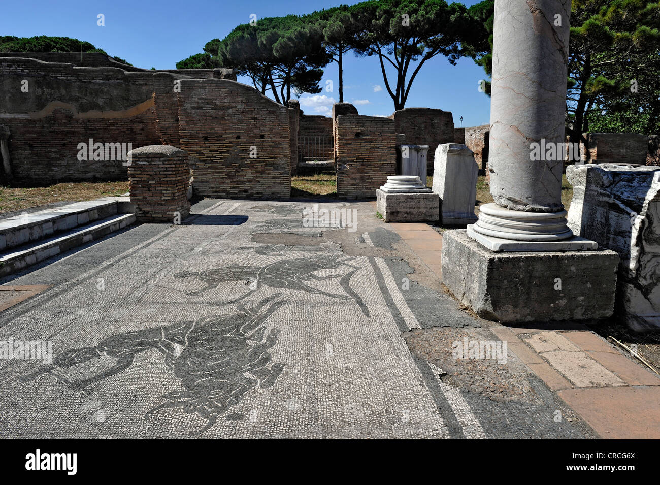 Mosaics in the ruins of the police barracks of Caserma dei Vigili, Ostia Antica archaeological site, ancient port city of Rome Stock Photo
