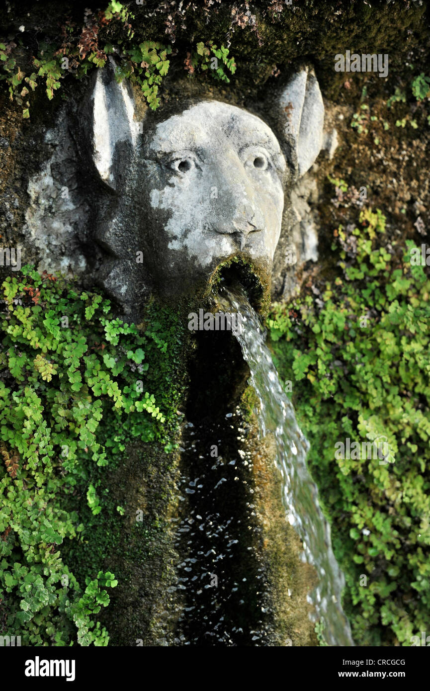Gargoyle, Viale delle Cento Fontane or Alley of the Hundred Fountains, Garden of the Villa d'Este, UNESCO World Heritage Site Stock Photo