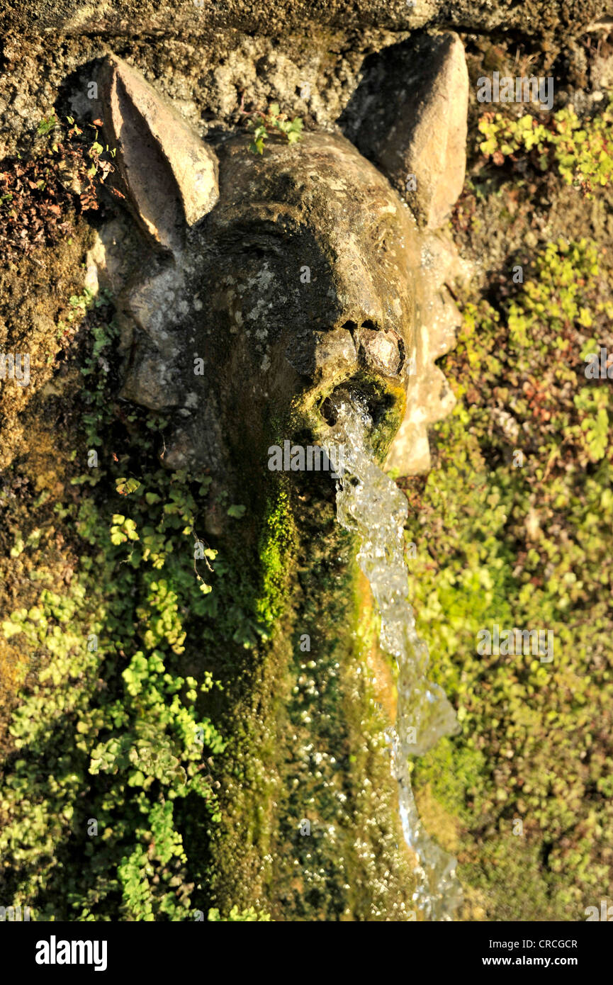 Gargoyle, Viale delle Cento Fontane or Alley of the Hundred Fountains, Garden of the Villa d'Este, UNESCO World Heritage Site Stock Photo