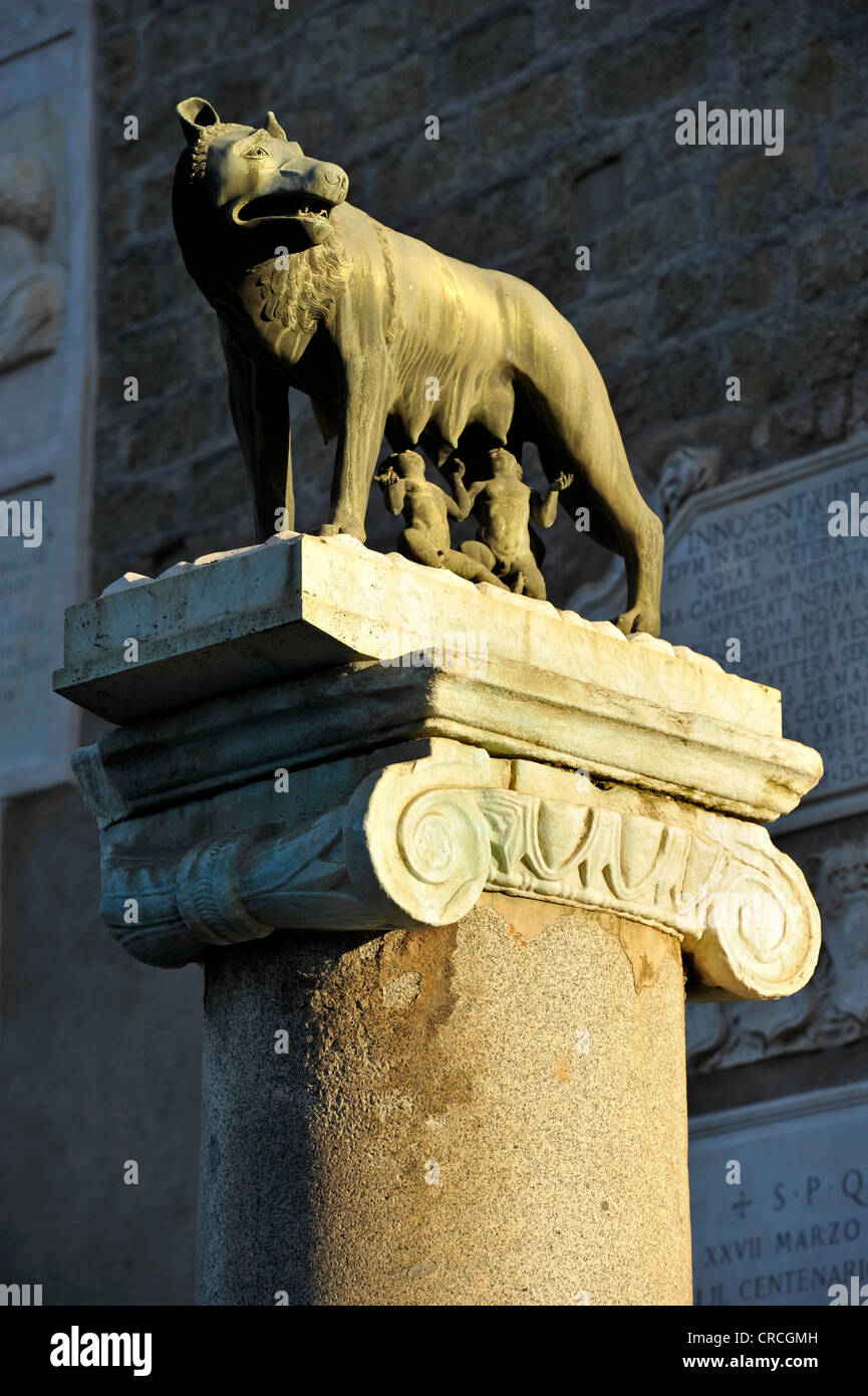 Capitoline wolf sculpture hires stock photography and images Alamy