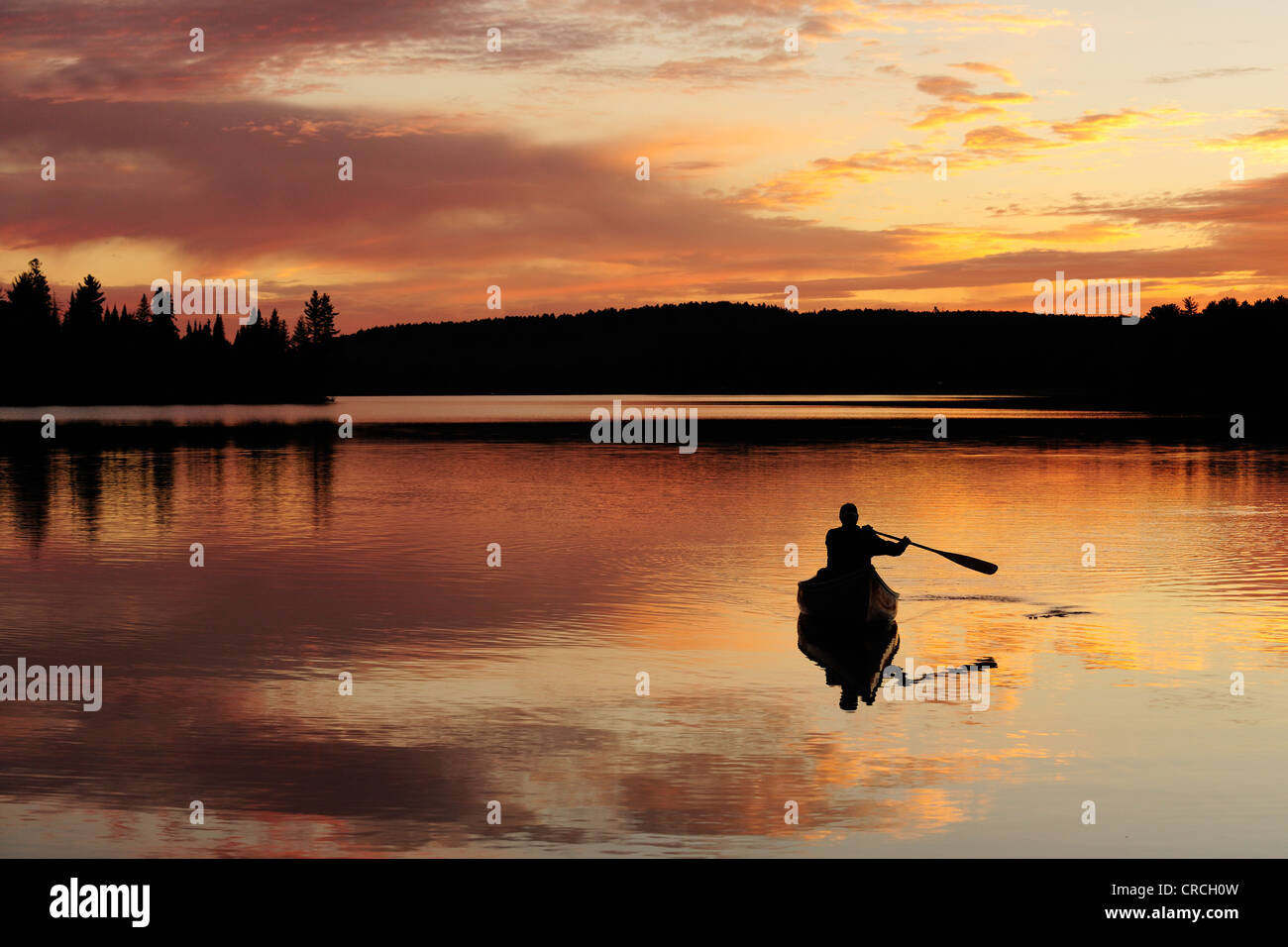 Paddling a canoe on a lake in Algonquin Provincial Park, Ontario, Canada, North America Stock Photo