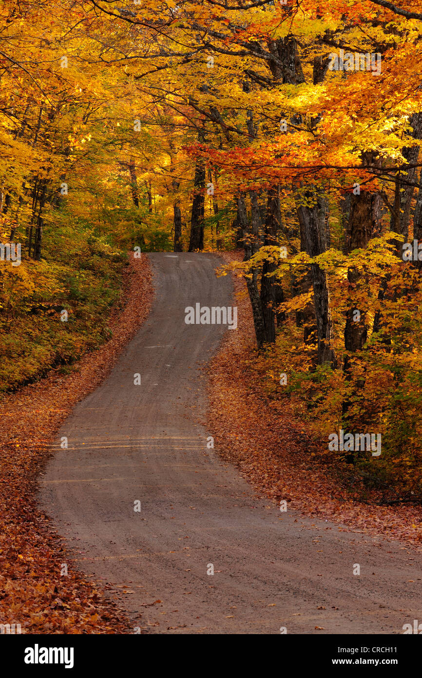 Autumn trees road canada hi-res stock photography and images - Alamy