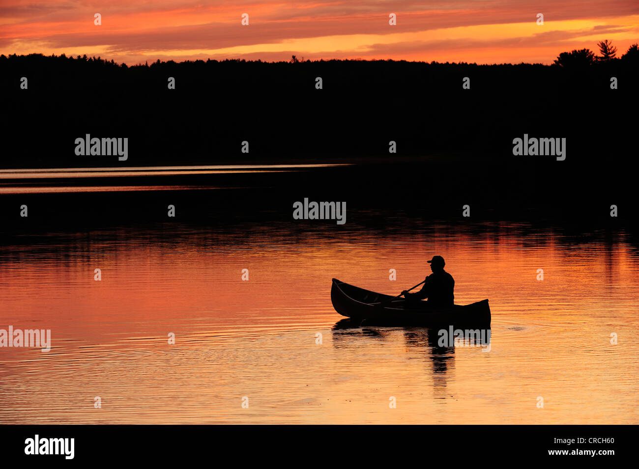 Paddling a canoe on a lake in the evening light, Algonquin Provincial