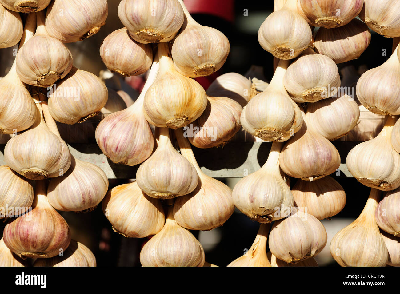 Garlic, market display at a market in Montreal, Quebec, Canada Stock Photo