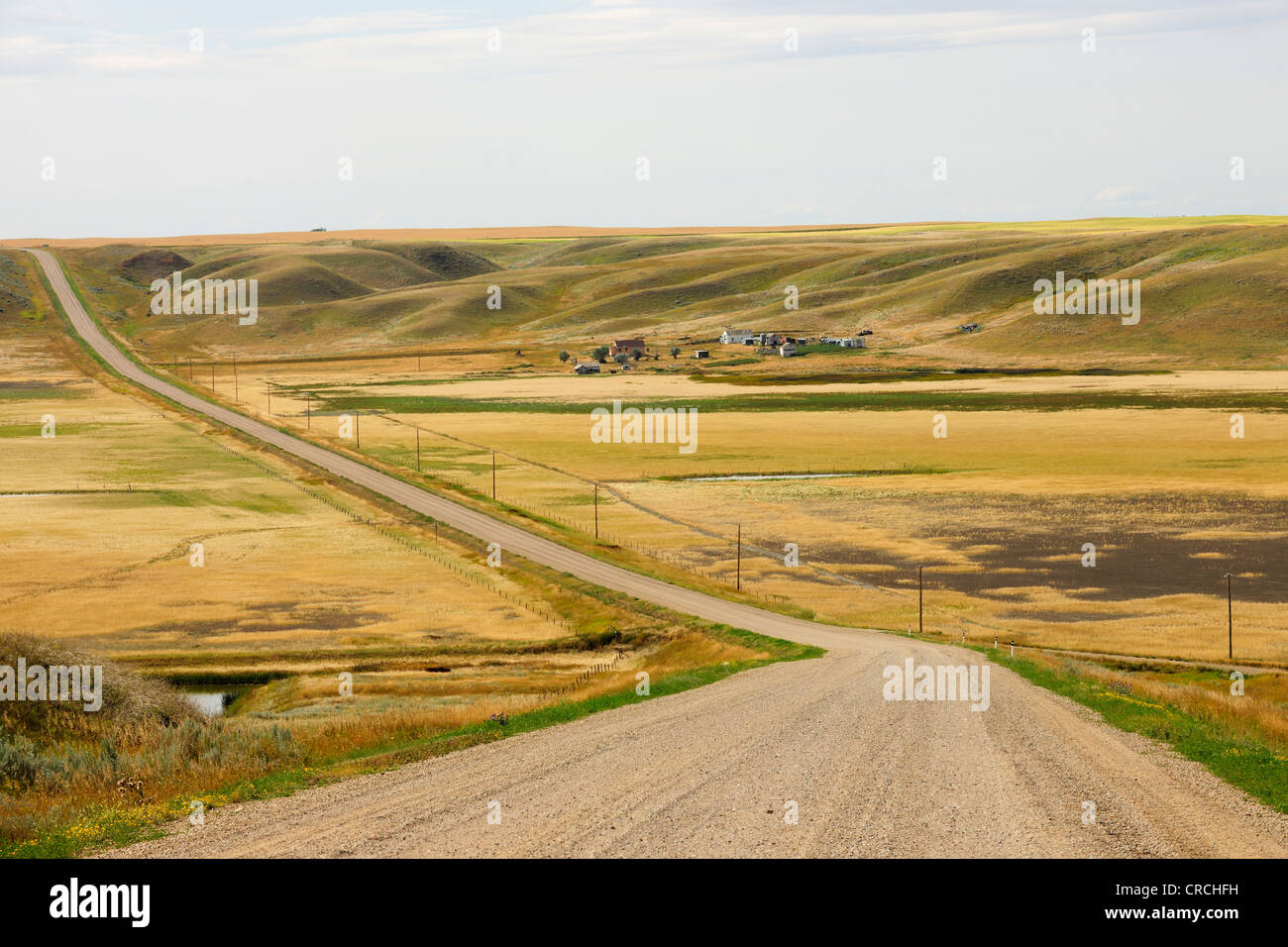 Secluded farmhouse on a lonely road through the prairie, Alberta, Canada Stock Photo