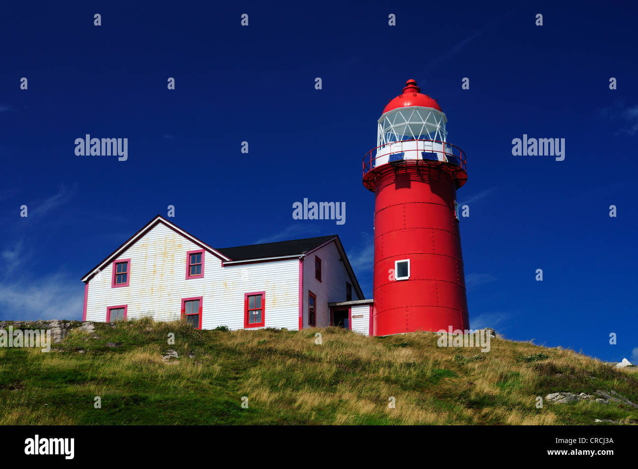 Lighthouse at Ferryland Head, Avalon Peninsula, Newfoundland, Canada, North America Stock Photo