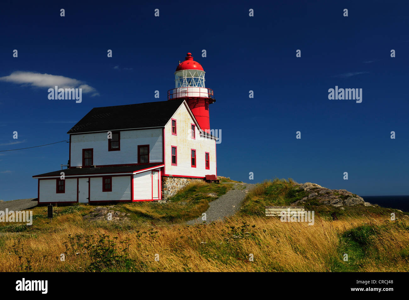 Lighthouse at Ferryland Head, Avalon Peninsula, Newfoundland, Canada, North America Stock Photo