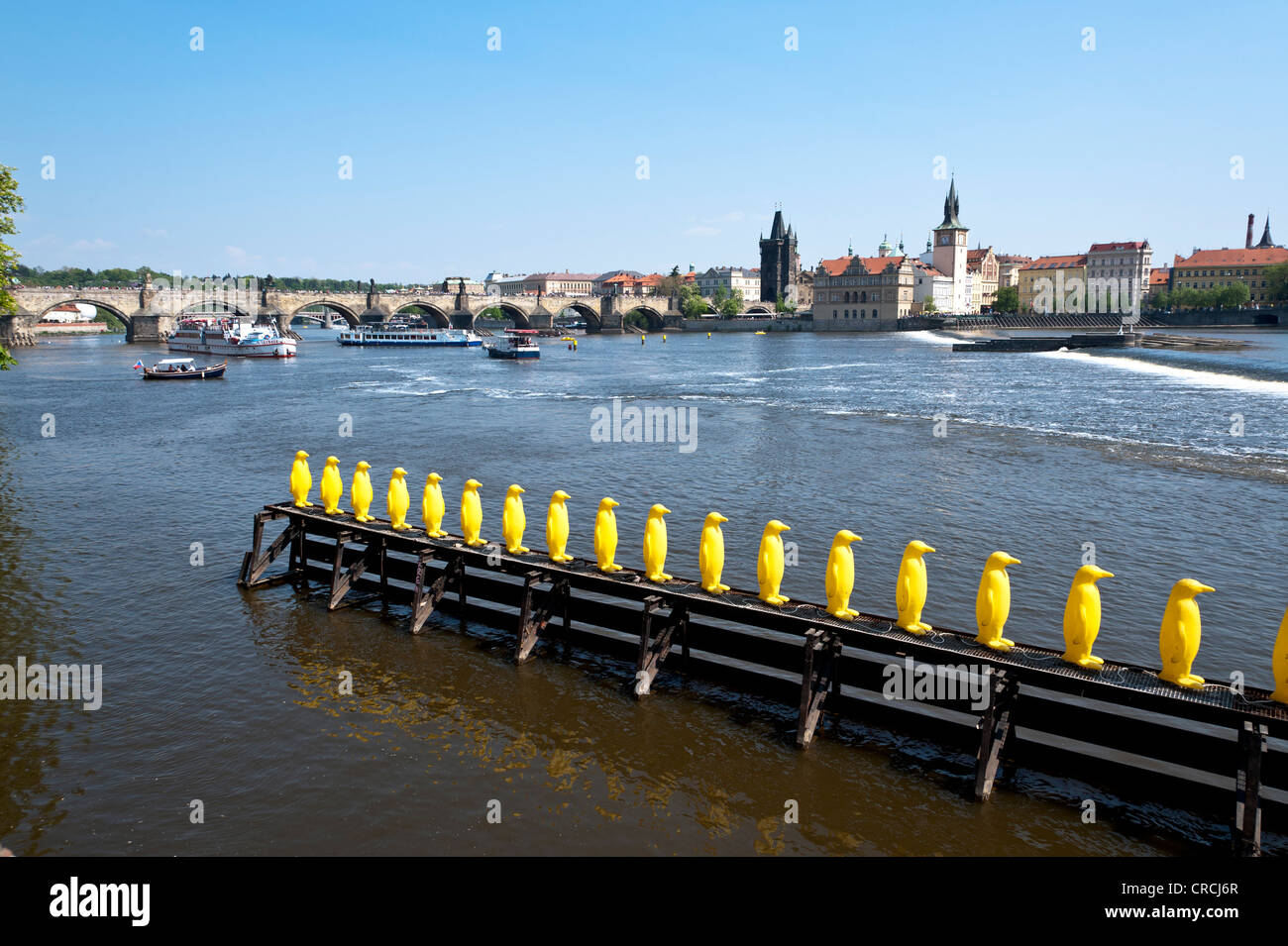 34 yellow penguins, installation by the Italian group of artists, Cracking Art Group, on the Vltava River, Muzeum Kampa, ue Stock Photo