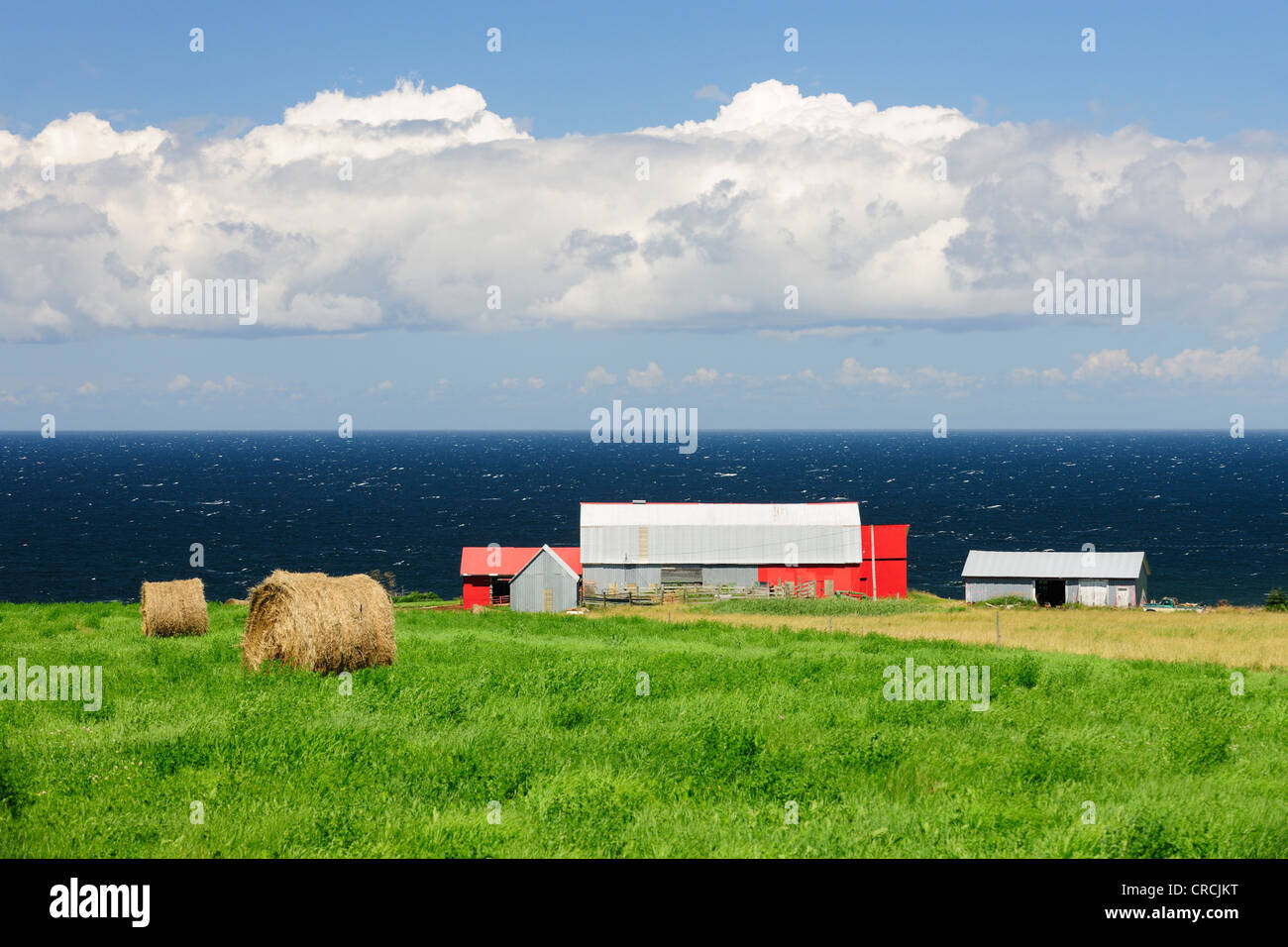 Farm on the Atlantic coast, Cape Breton Island, Nova Scotia, Canada, North America Stock Photo