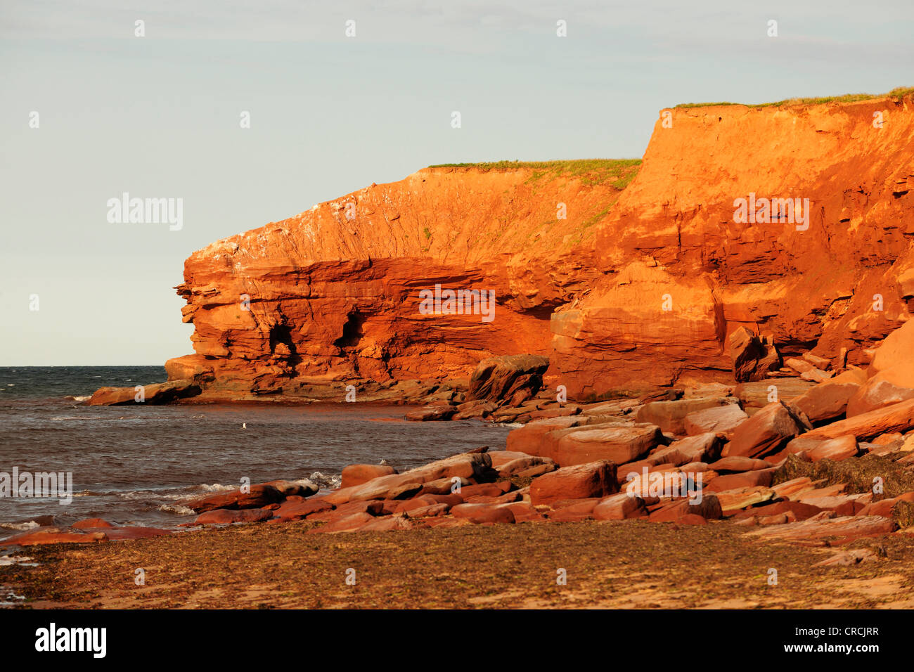 Red sandstone cliffs, typical coastline in Prince Edward Island