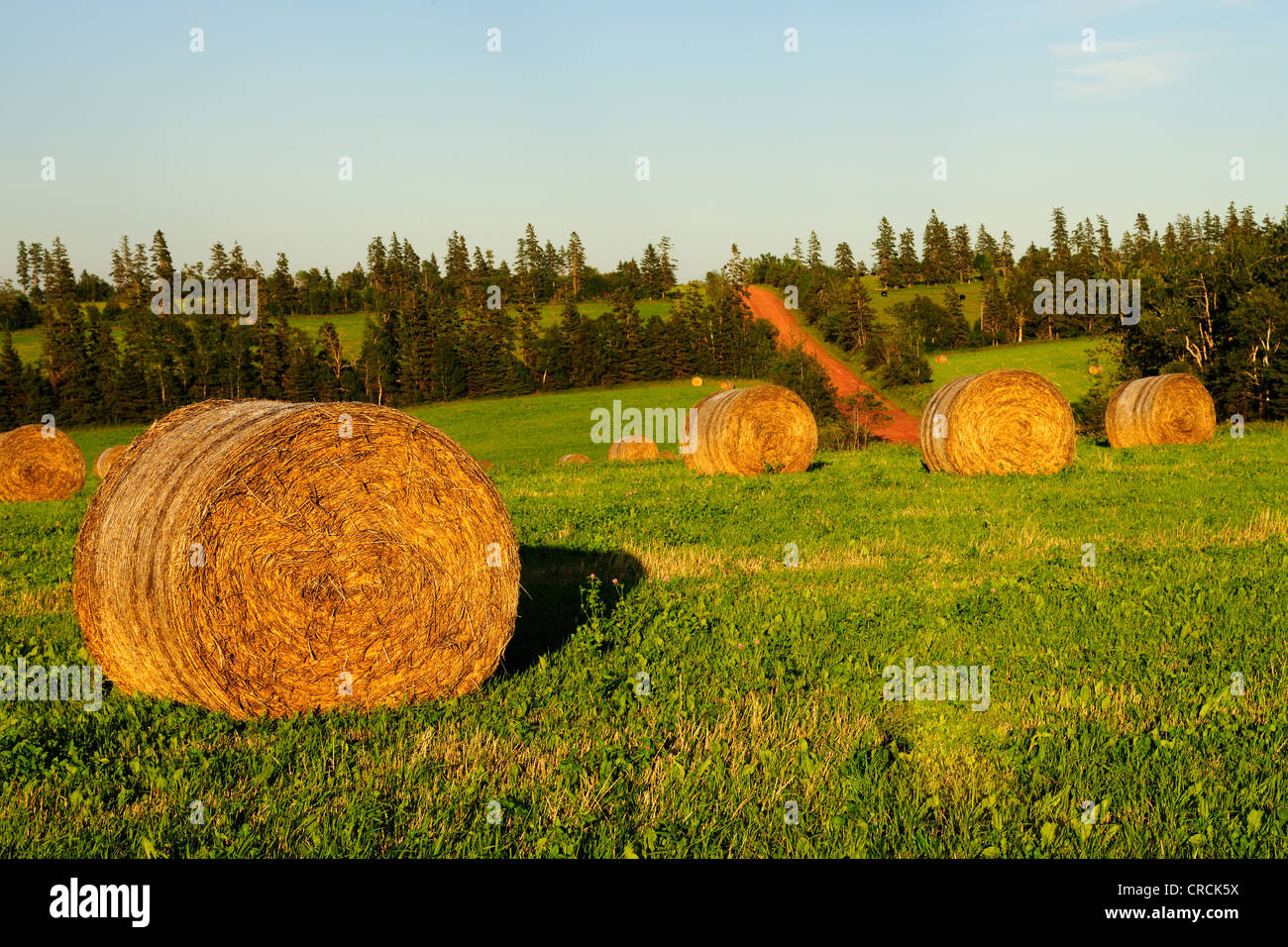 Straw island hires stock photography and images Alamy