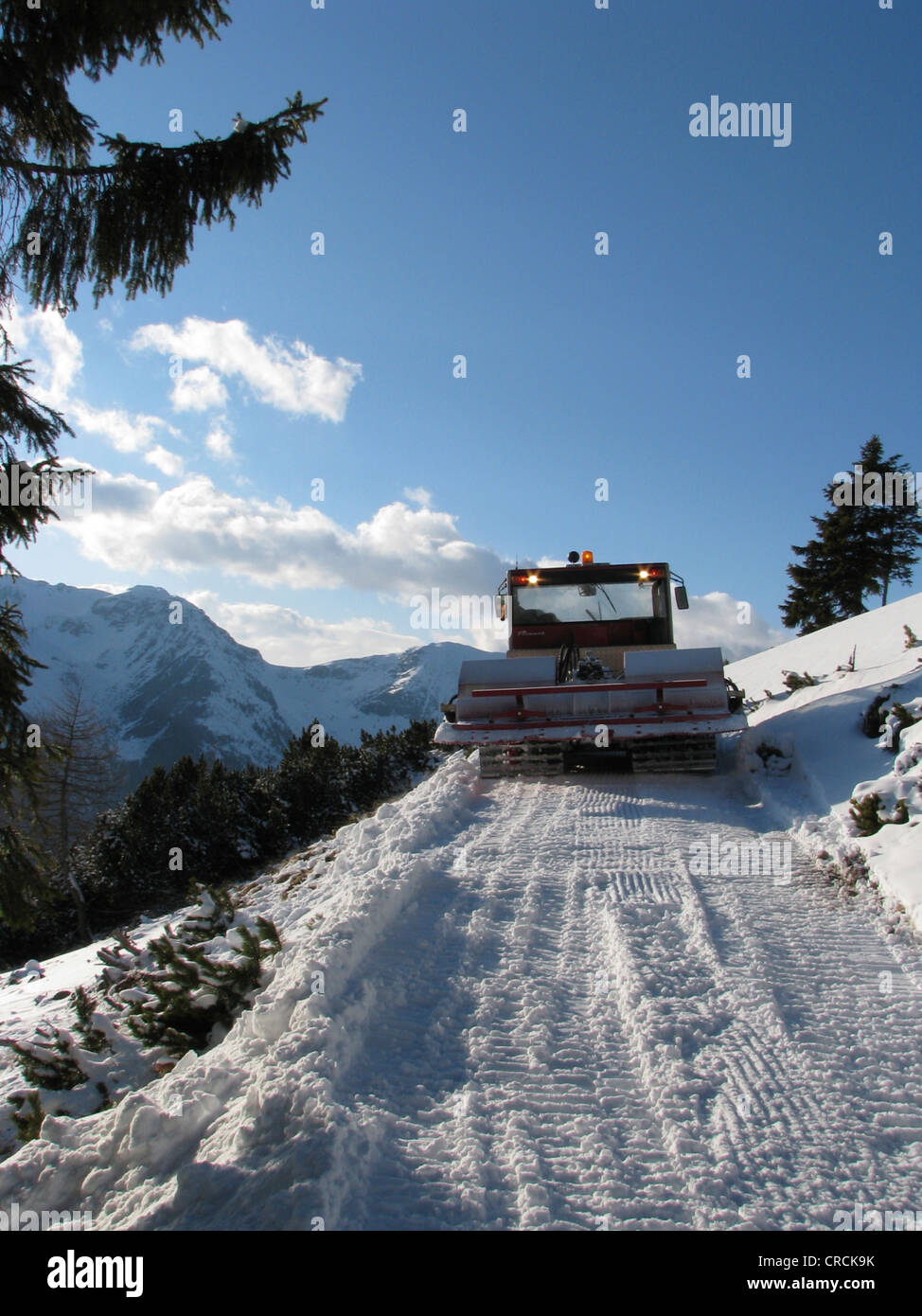 Snow Cat in snowy mountain scenery of a skiing area preparing a footpath, Italy, Suedtirol, Sarentino, Reinswald Stock Photo