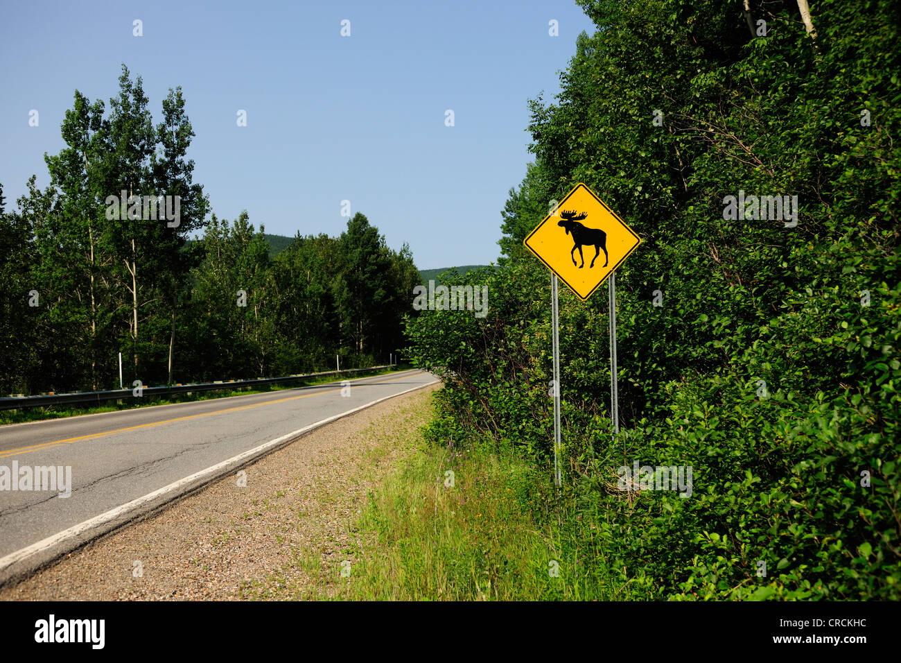 Road sign warning of crossing moose, Parc national de la Gaspésie national park in the Chic-Choc Mountains Stock Photo
