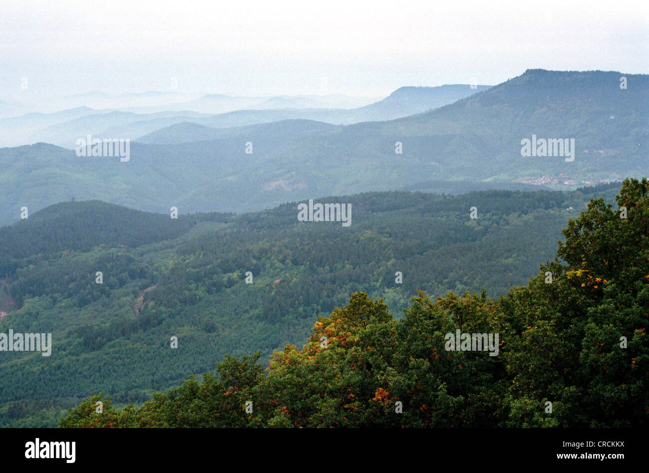 View of the Vosges (Alsace Stock Photo - Alamy