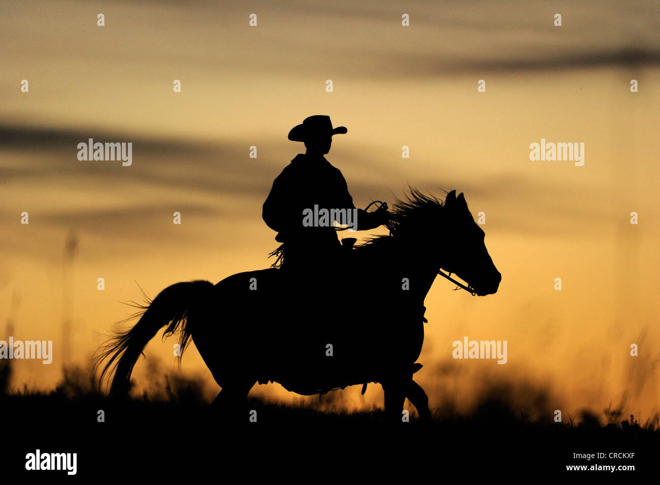 Cowboy Riding Into Sunset Stock Photos And Cowboy Riding Into Sunset