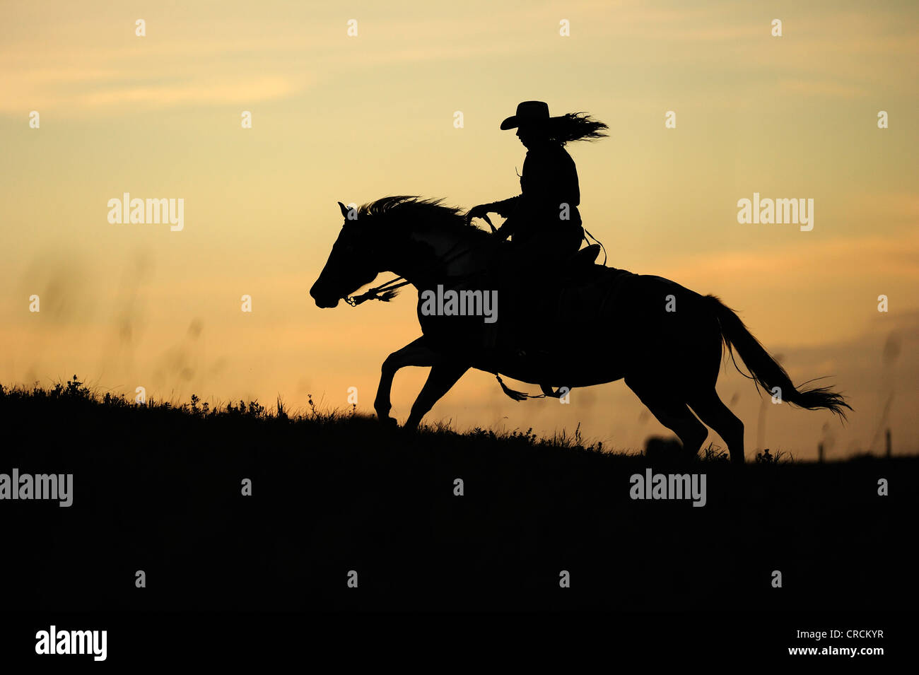 Cowgirl horse silhouette hi-res stock photography and images - Alamy, image size:1300x955