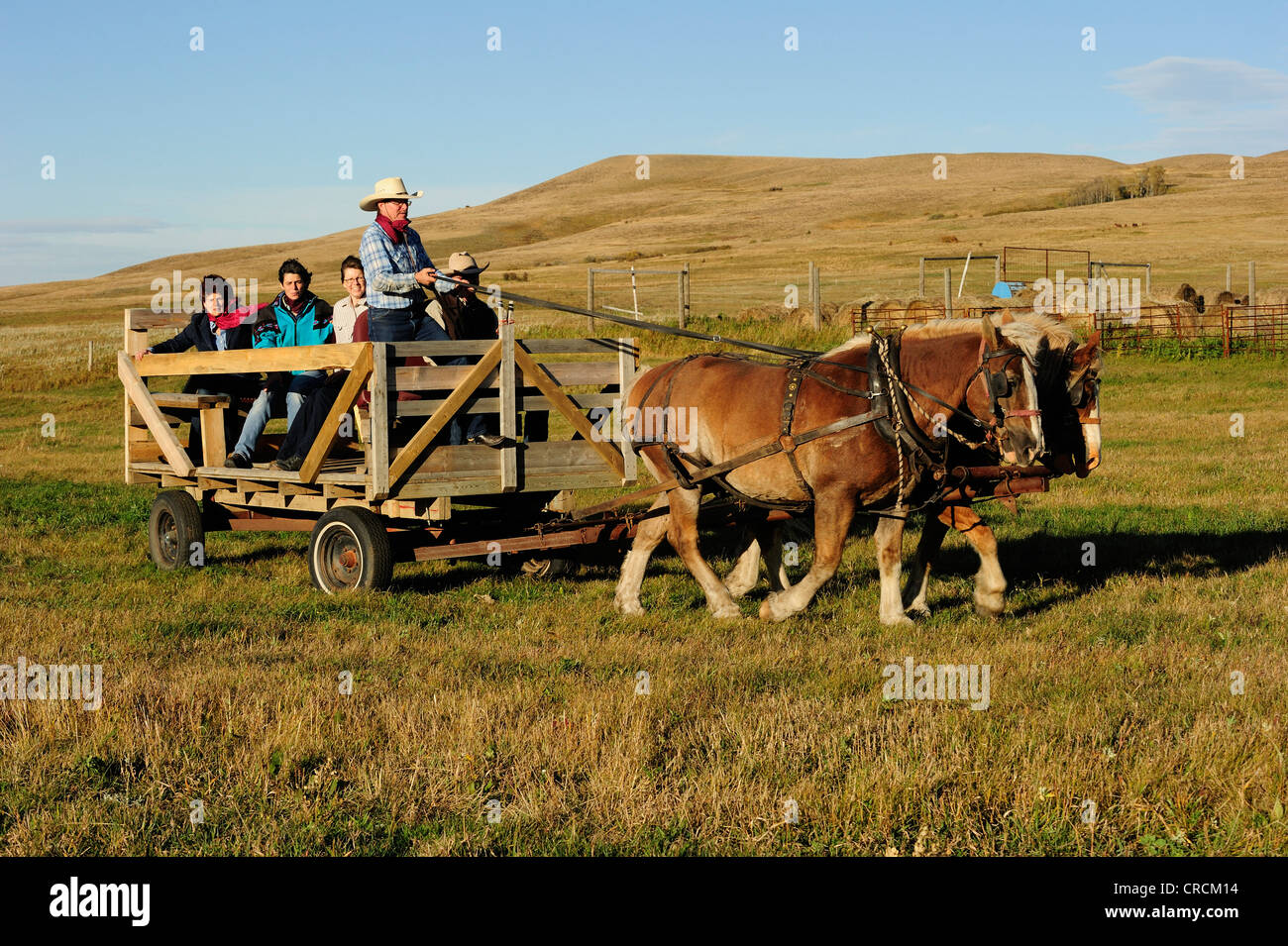 Horses pulling a carriage with people over the prairie, Saskatchewan
