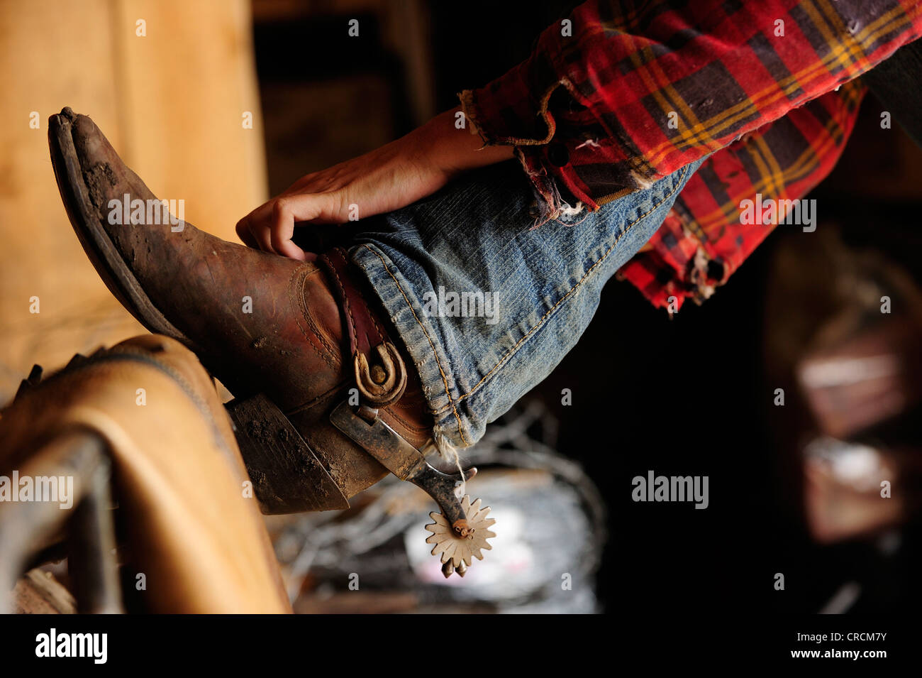 Cowgirl strapping spores to her boots Stock Photo
