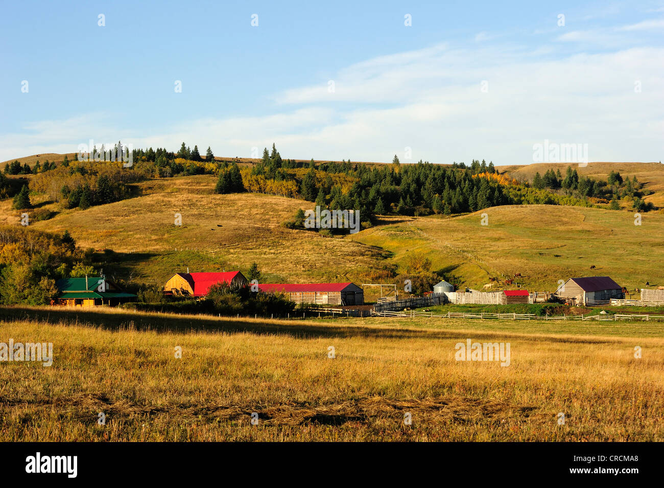 Cowboy ranch on the prairie, Saskatchewan, Canada Stock Photo
