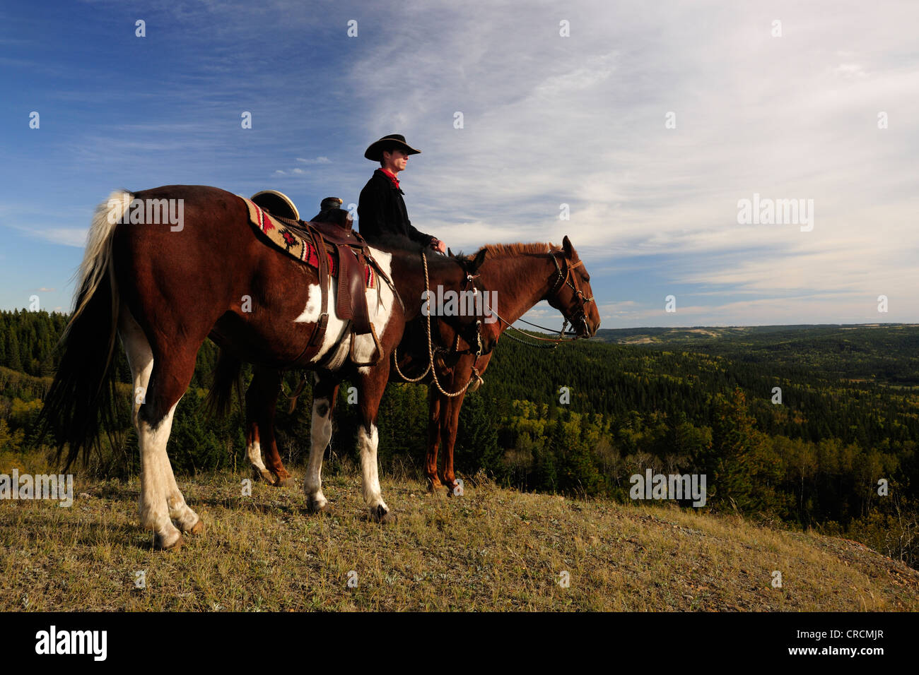 Cowboy sitting on a horse with a second horse on a rope, Saskatchewan, Canada Stock Photo