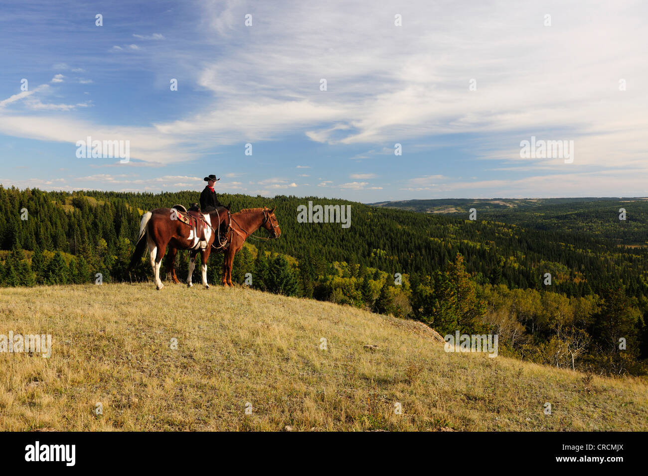 Cowboy sitting on a horse with a second horse on a rope, Saskatchewan, Canada Stock Photo