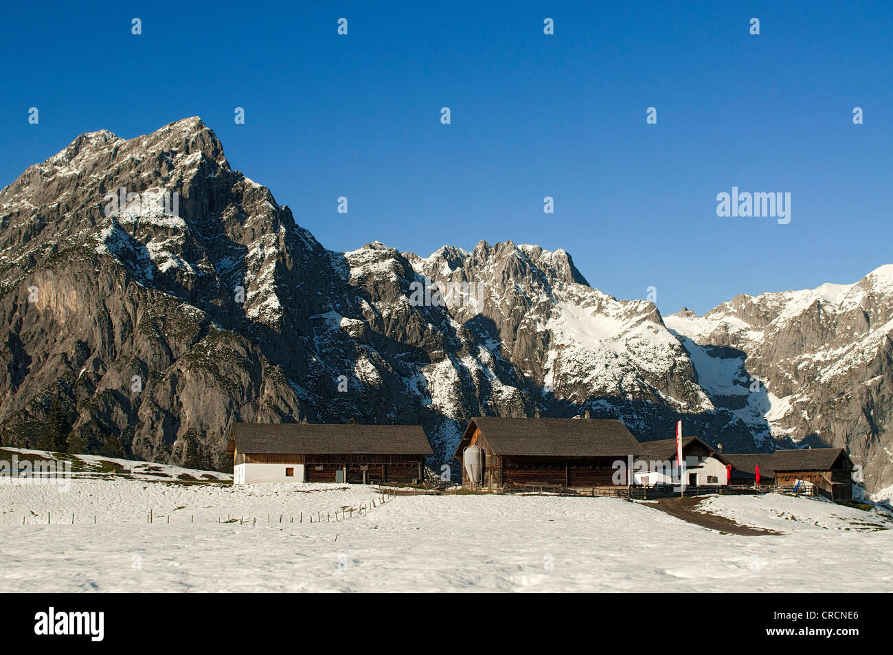 Walder Alm alpine pastures in front of the Karwendel Mountains, Gnadenwald, Tyrol, Austria, Europe Stock Photo