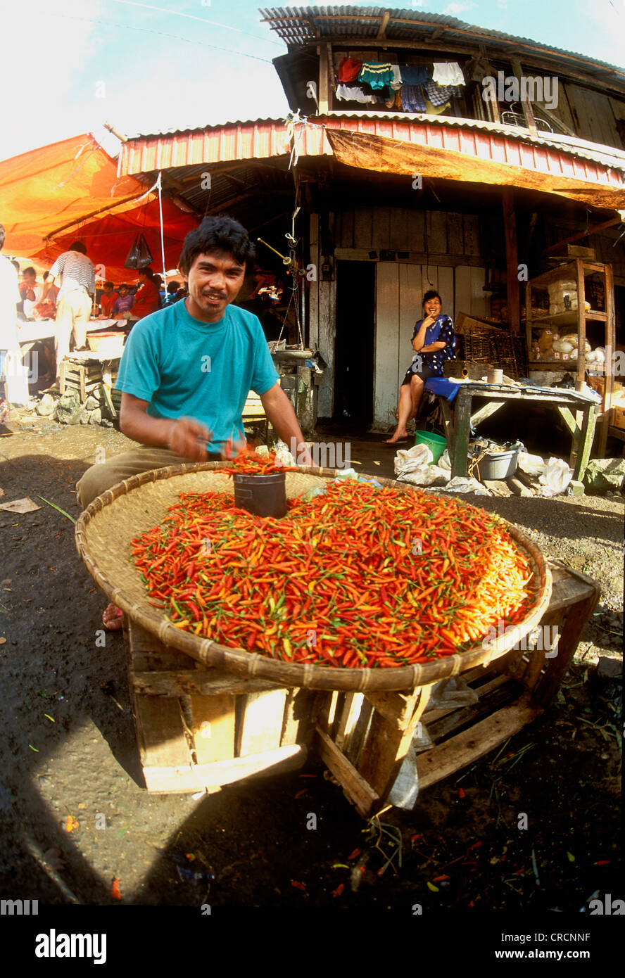 saturday market and local people trading chilli in the village of Tomahon, Indonesia, Sulawesi Stock Photo