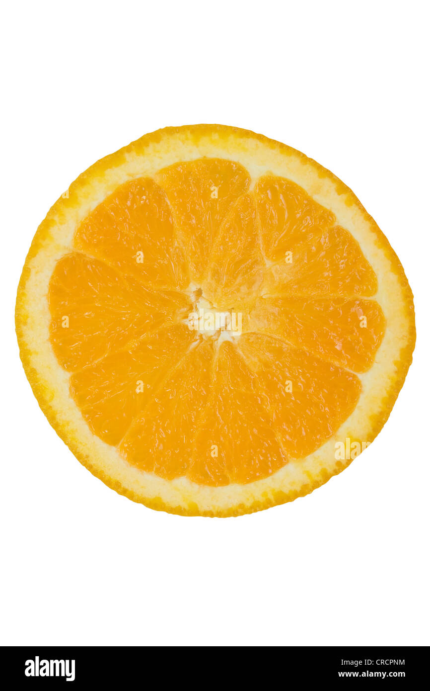 orange fruit slice isolated on white background Stock Photo - Alamy