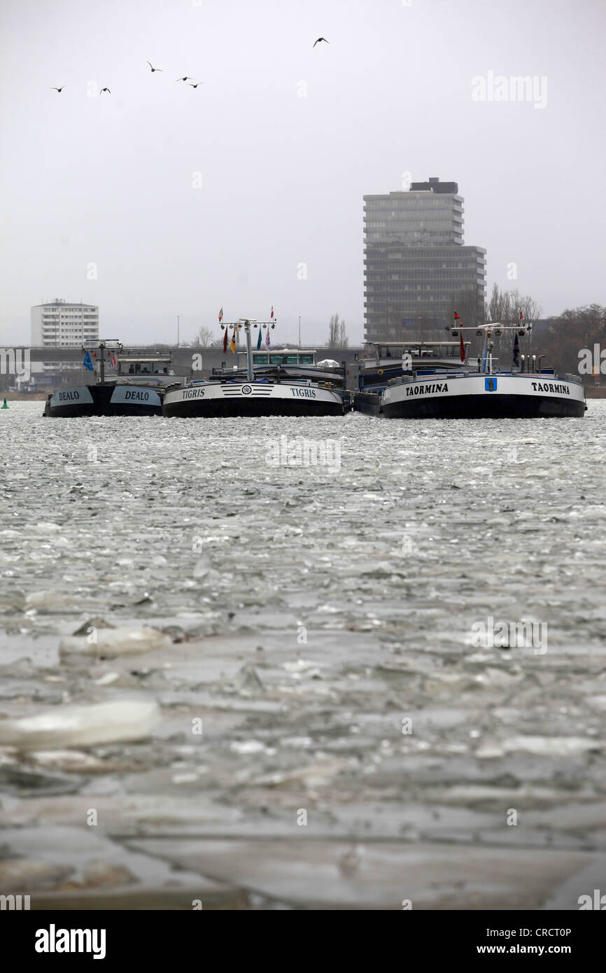 Cargo ships are stuck in the ice on the Moselle river at Guels, Koblenz, Rhineland-Palatinate, Germany, Europe Stock Photo