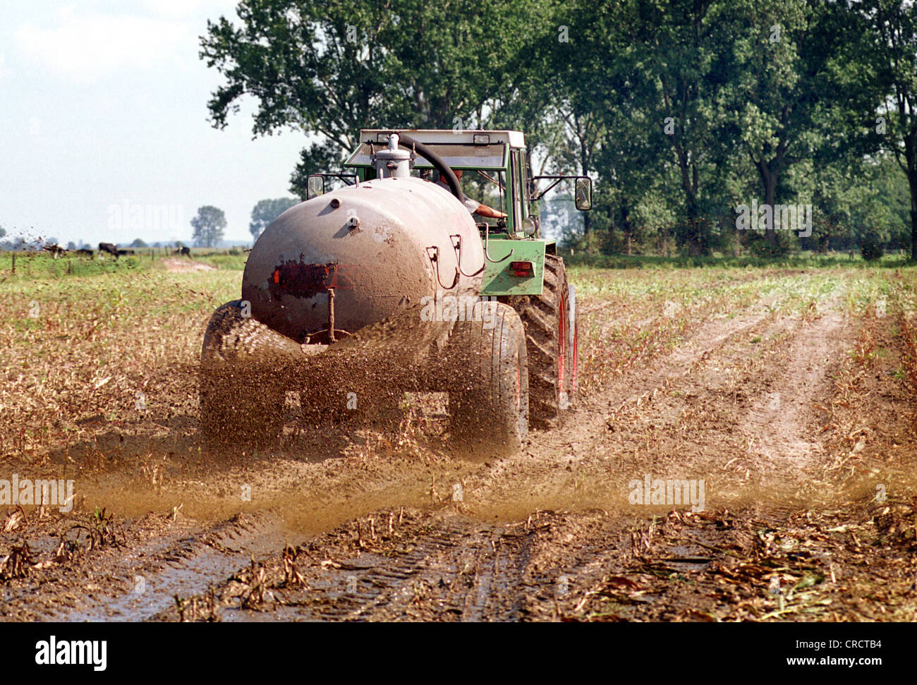 Farmer brings Guelle on a field Stock Photo - Alamy