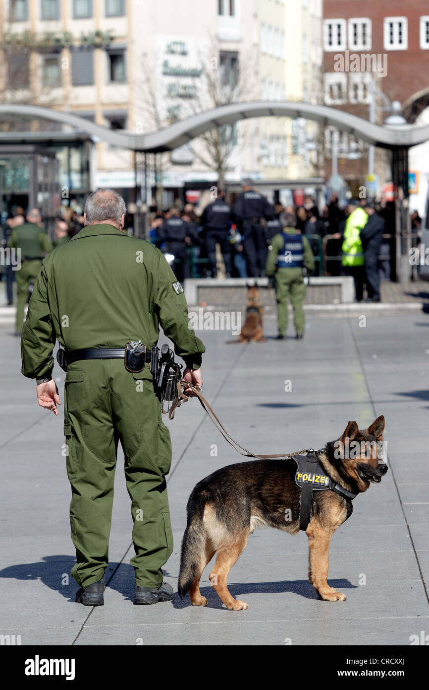 Police officer with police dog at a neo-Nazi demonstration in Koblenz, Rhineland-Palatinate, Germany, Europe Stock Photo