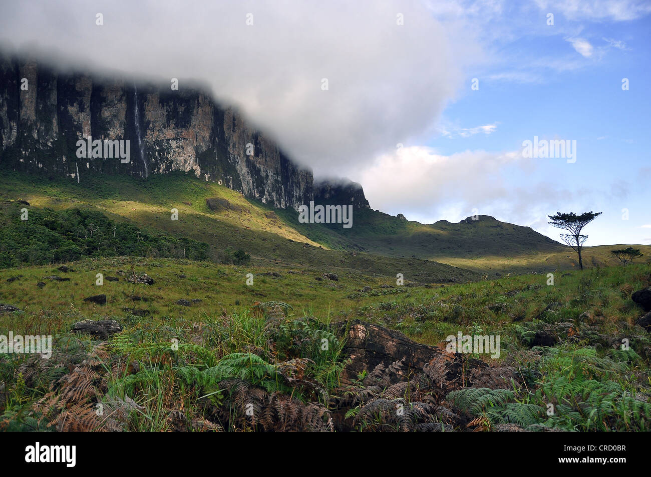 Steep face of the Roraima table mountain surrounded by clouds, highest mountain of Brazil, Gran Sabana Stock Photo
