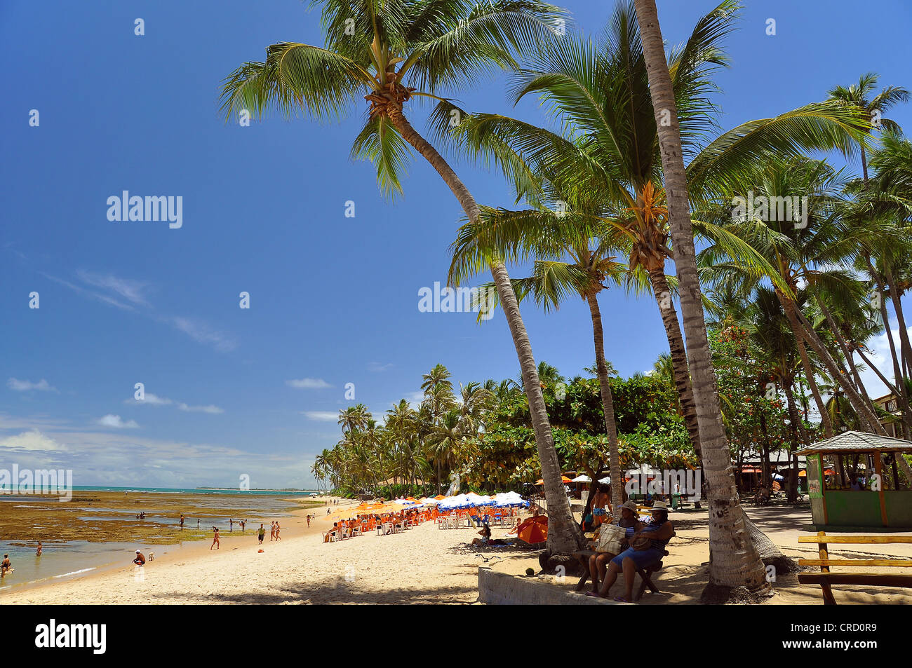 Beach in Salvador de Bahia, Bahia, Brazil, South America Stock Photo