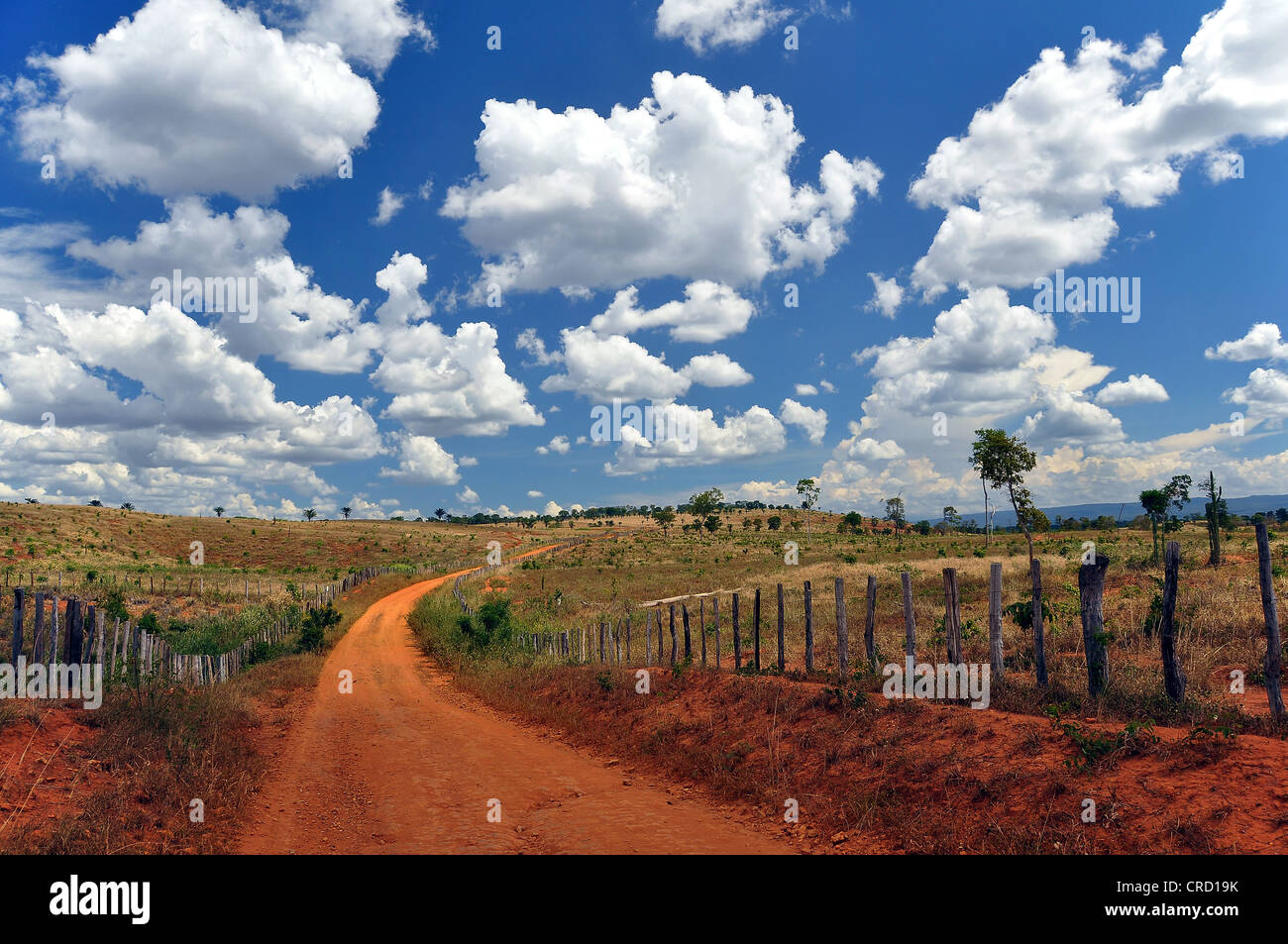 Vast pastures under a cloudy sky, Chapada Diamantina, Bahia, Brazil, South America Stock Photo