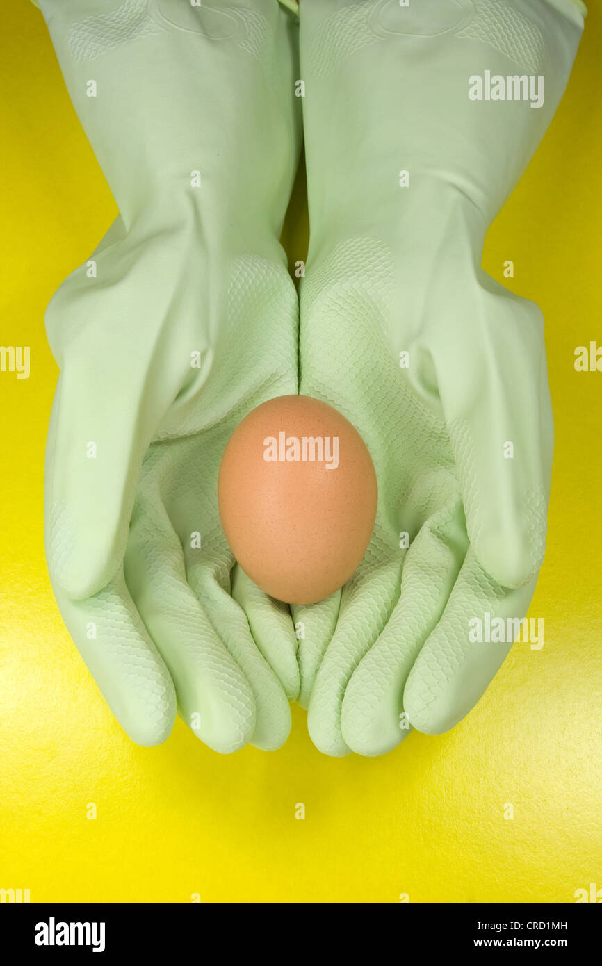 brown egg in a hands with rubber gloves Stock Photo Alamy