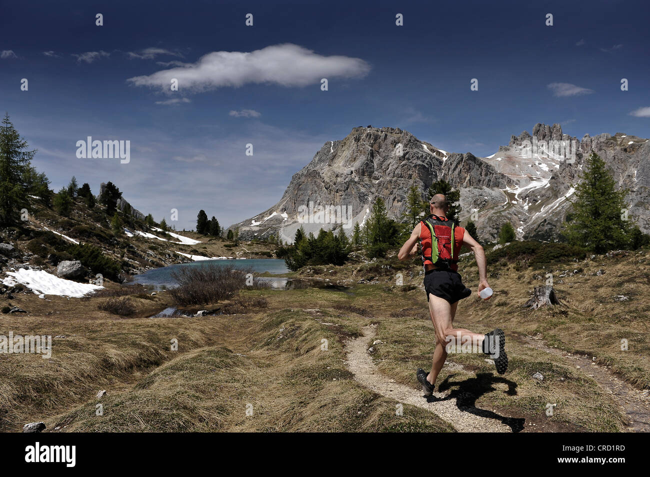 Jogger in the Dolomites, South Tyrol, Italy Stock Photo