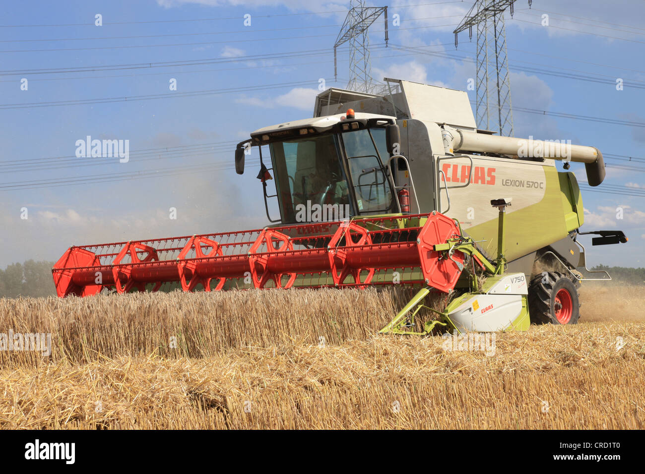 Combine harvester harvesting grain Stock Photo Alamy