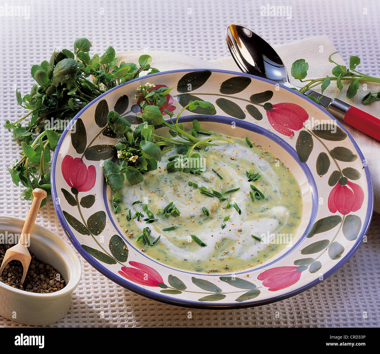 Spicy watercress soup, with potatoes, cooked in veal stock, Switzerland. Stock Photo