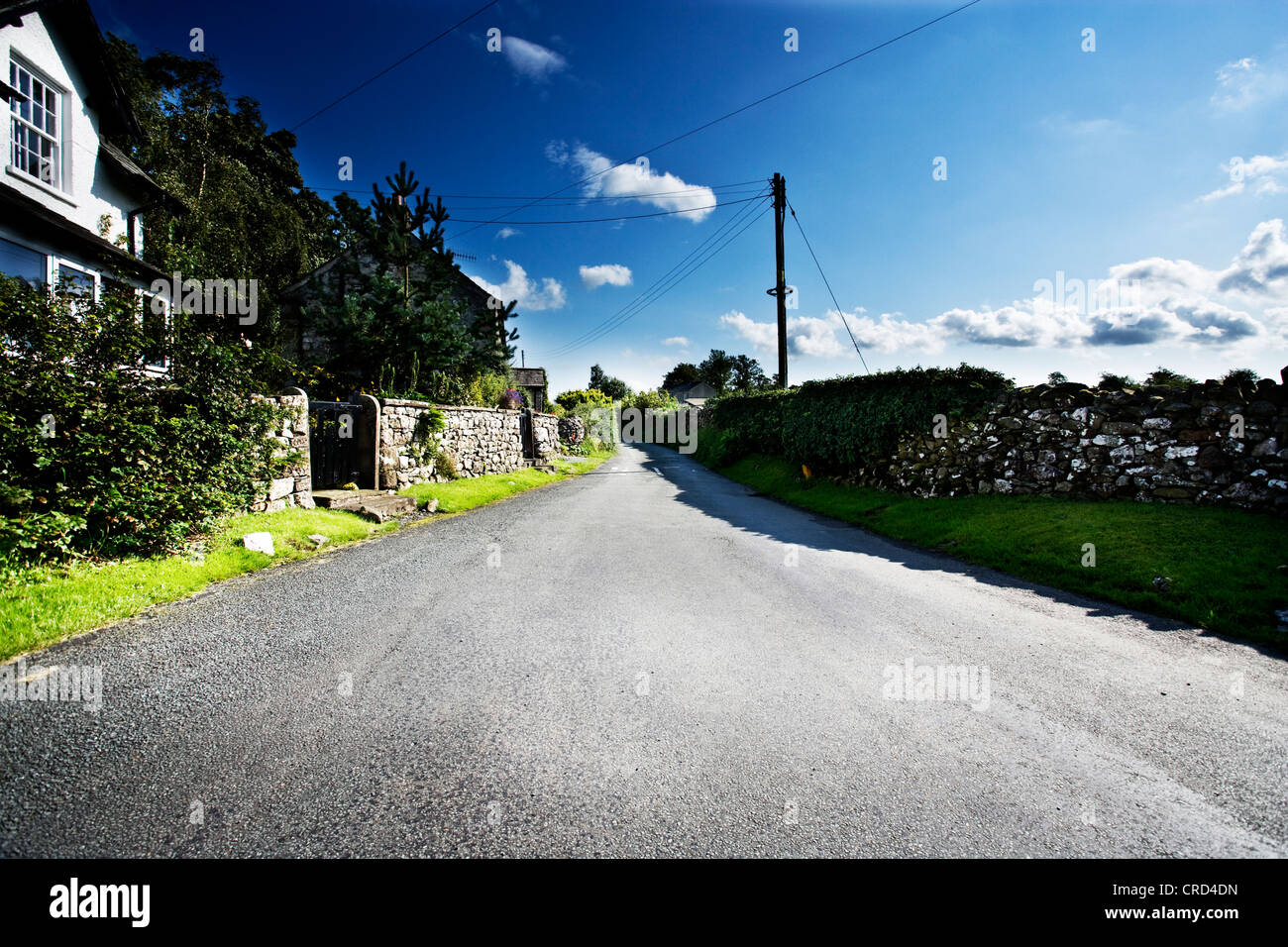 country roads in the Lake district uk cgi car backgrounds summer fluffy
