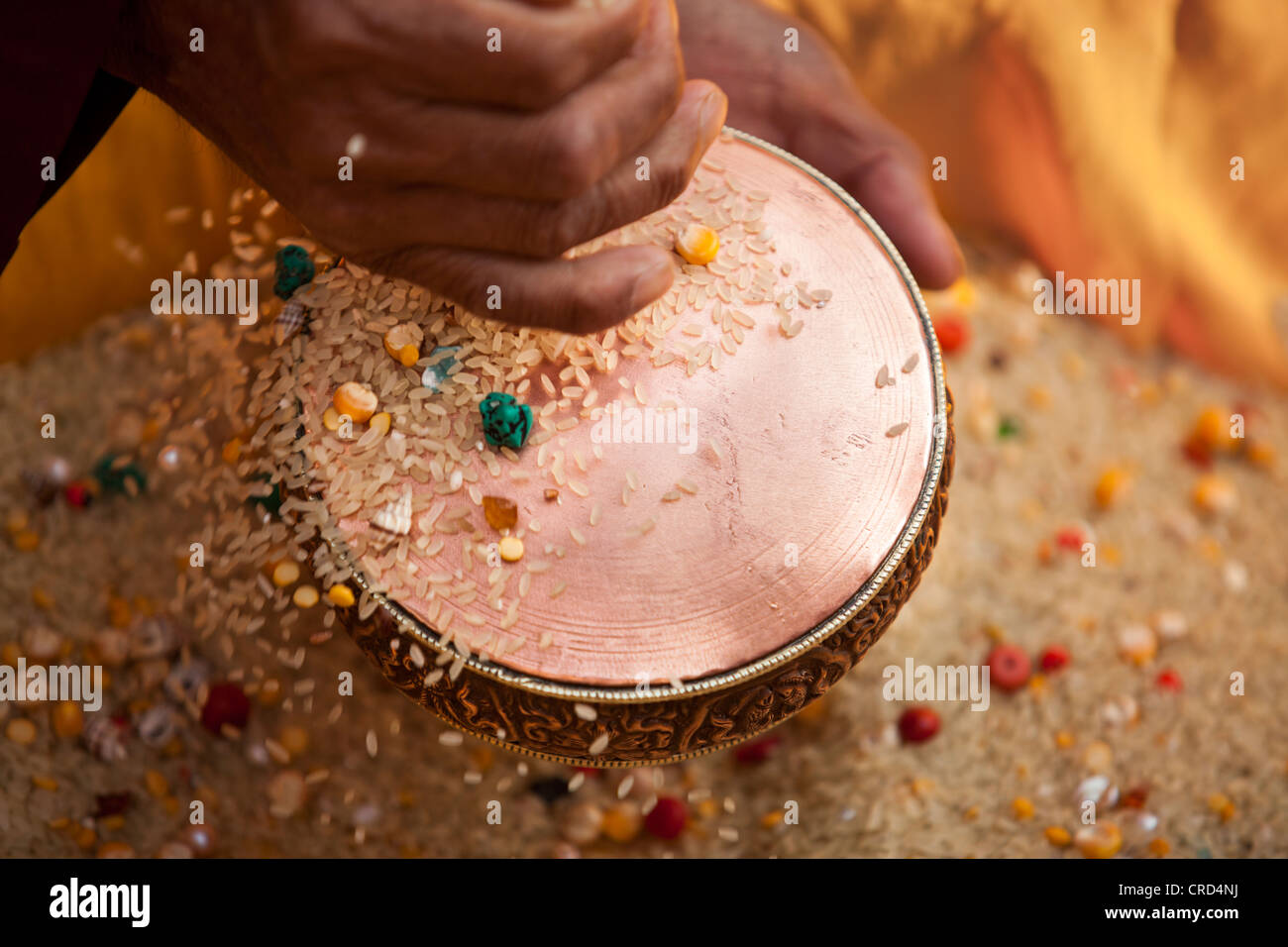 Tibetan pilgrims pray with rice and colorful stone in Mahabodhi Temple ...