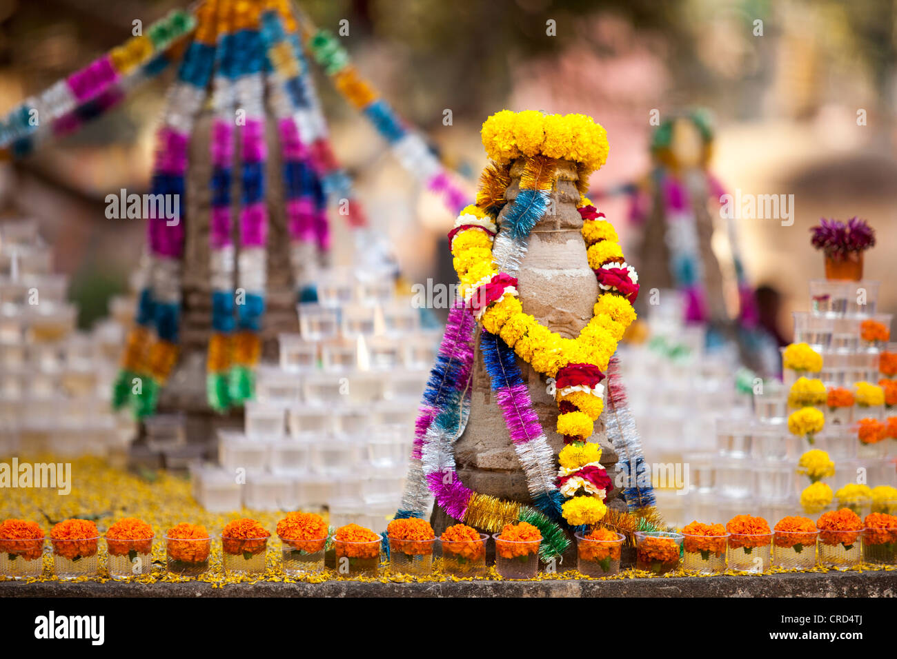 Holy flower of india hi-res stock photography and images - Alamy