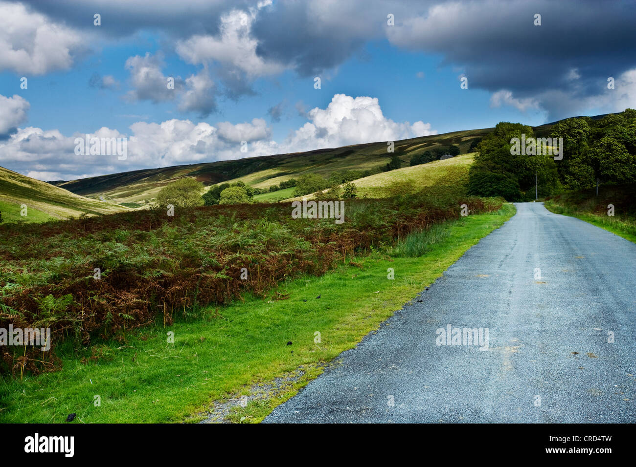 country roads in the Lake district uk  cgi car backgrounds summer fluffy clouds hills Stock Photo