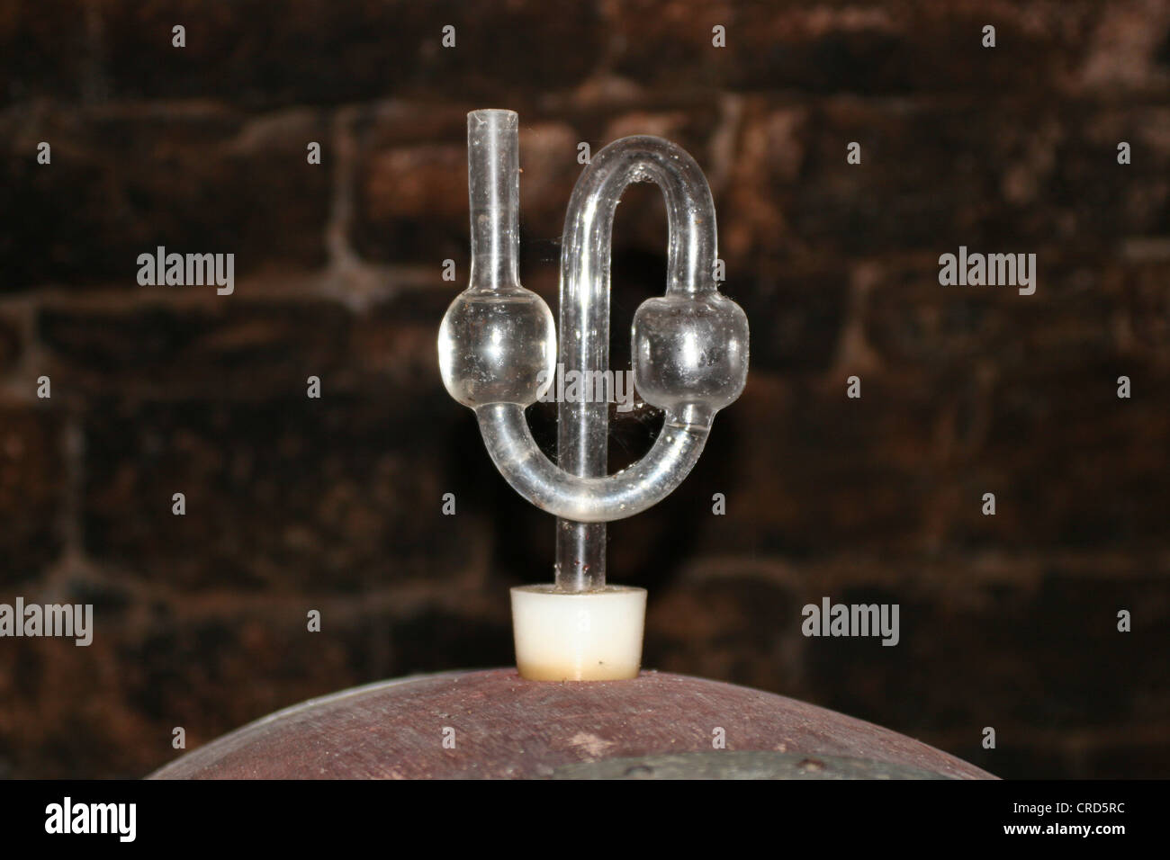 In the wine cellar - wine cask with fermentation display Stock Photo ...