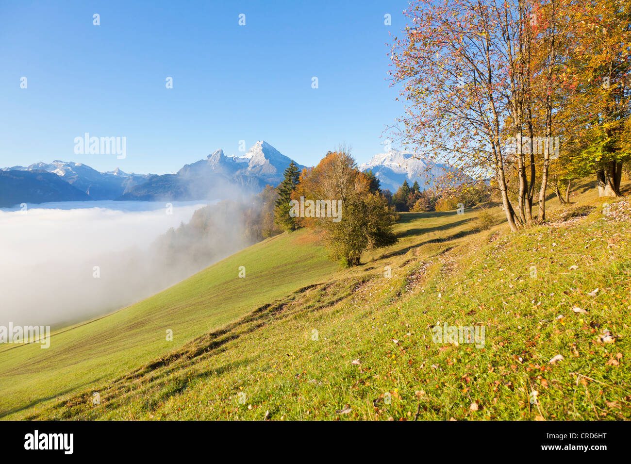 Mountain pasture and Watzmann, Berchtesgaden Alps, Berchtesgadener Land, Bavaria, Germany, Europe Stock Photo