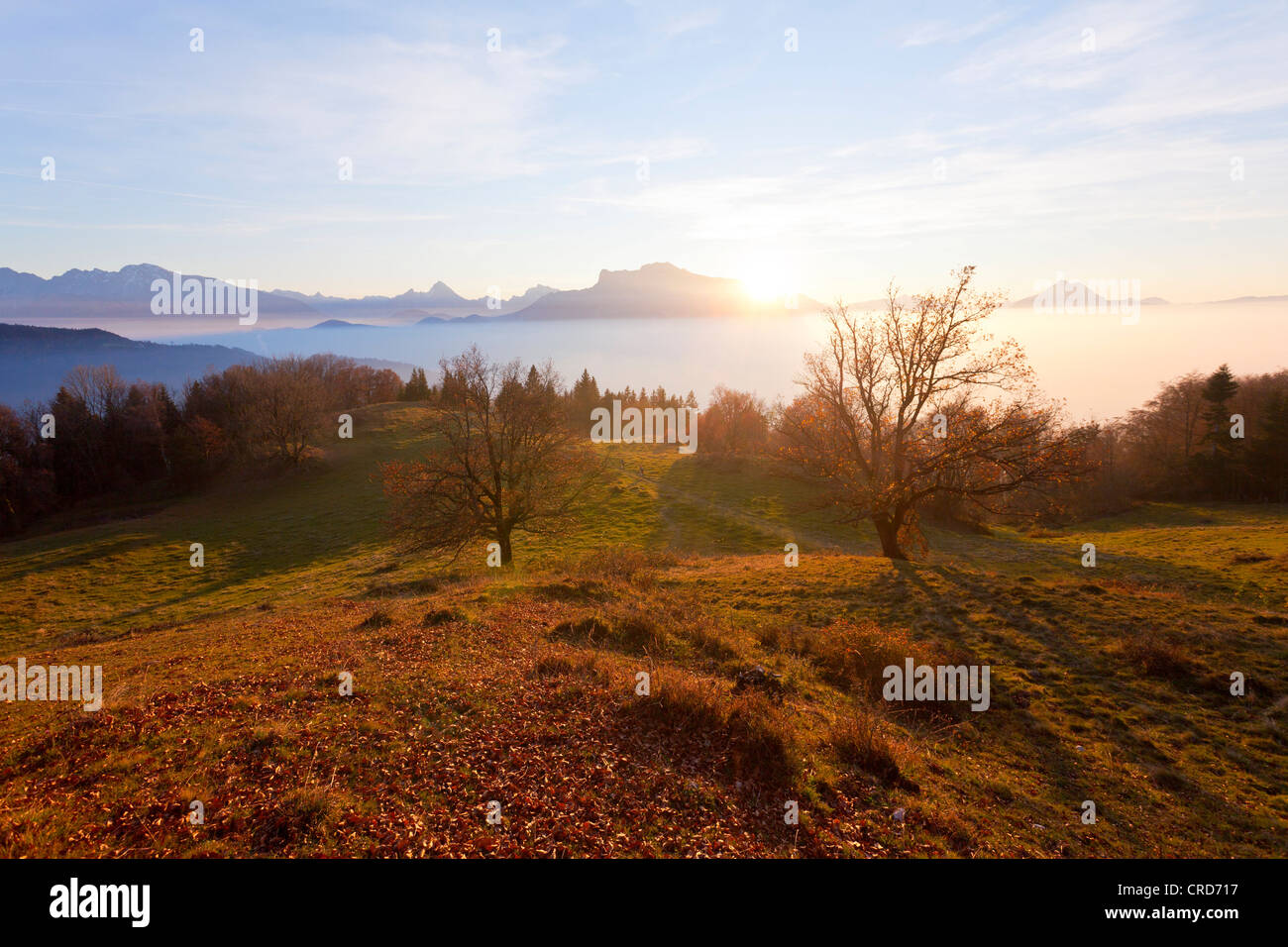 Sunset at Salzachtal, Untersberg and Watzmann in the back, Salzburger Land, Austria, Europe Stock Photo