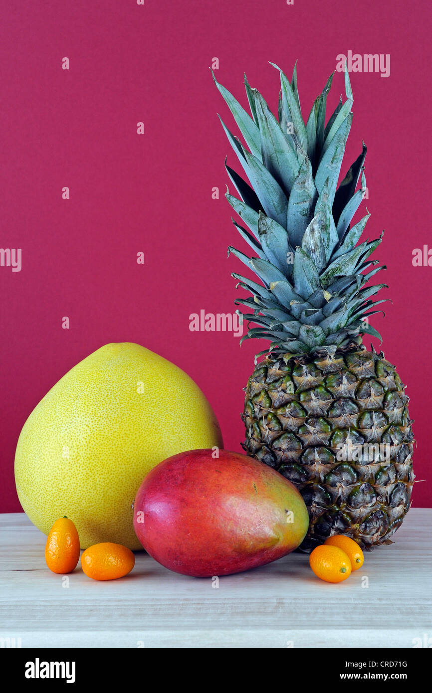 tropical fruits: pomelo, mango, ananas, kumquats Stock Photo - Alamy